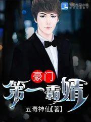豪门第一霸婿封面