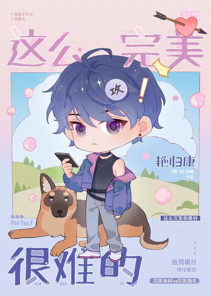 这么完美很难的封面