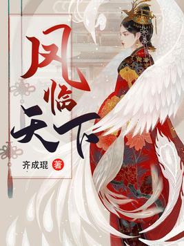 凤临天下齐成琨封面