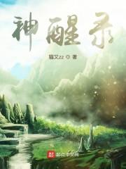 神醒录封面