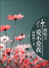 韩娱之你爱不爱我封面