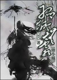 孤城无霜封面