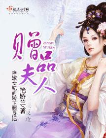 赠品夫人封面