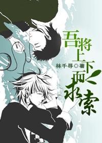 吾将上下而求索封面