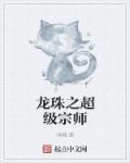 龙珠之超级宗师封面