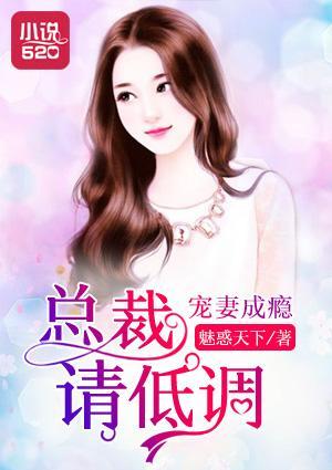 宠妻成瘾：总裁，请低调封面