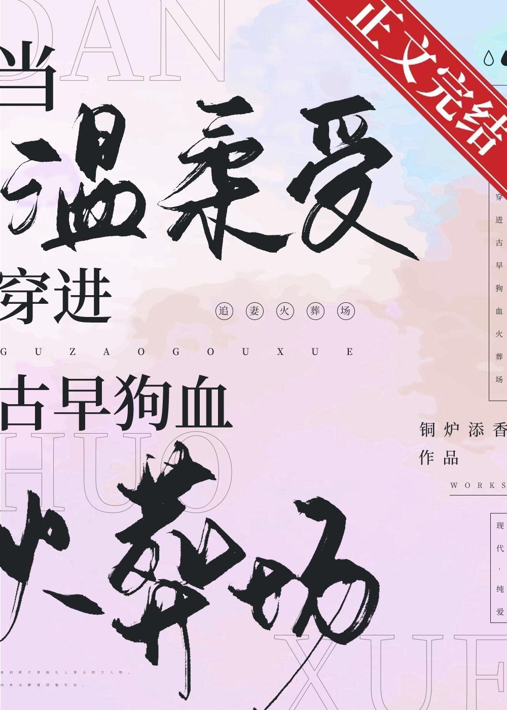 当温柔受穿进古早狗血火葬场封面