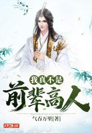 我真不是前辈高人封面