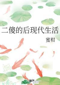 二傻的后现代生活封面