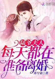 陆爷夫人每天都在准备离婚封面