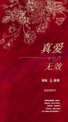 真爱无效封面
