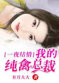 一夜结情：我的纯禽总裁封面