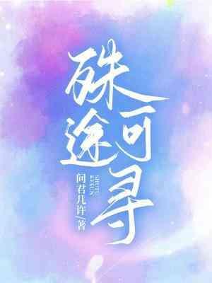 殊途可寻封面