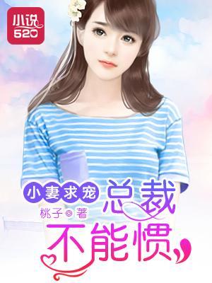 小妻求宠：总裁不能惯封面