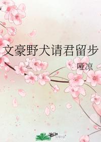 文豪野犬请君留步封面