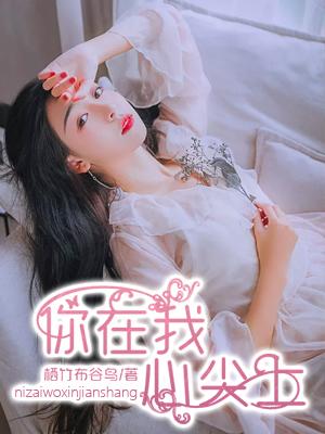 你在我心尖上封面