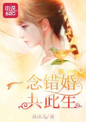 一念错婚共此生封面