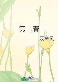 第二春白黑封面