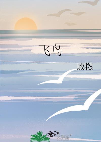 飞鸟封面