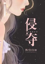 侵夺封面