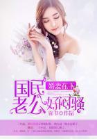 娇妻在下：国民老公好闷骚封面