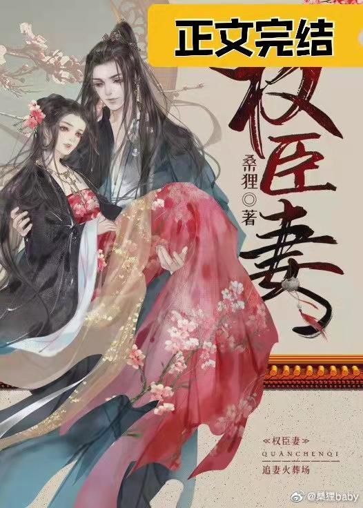 权臣妻封面