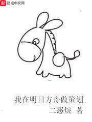 成名从电台开始封面