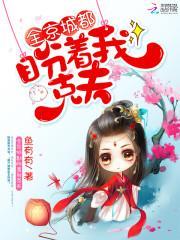 沈珺九燕无戈封面