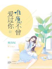 唯愿不曾爱过你封面