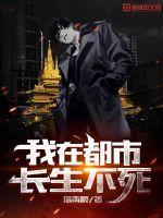 我在都市长生不死封面