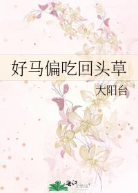 好马偏吃回头草封面