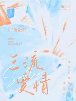 三流爱情封面