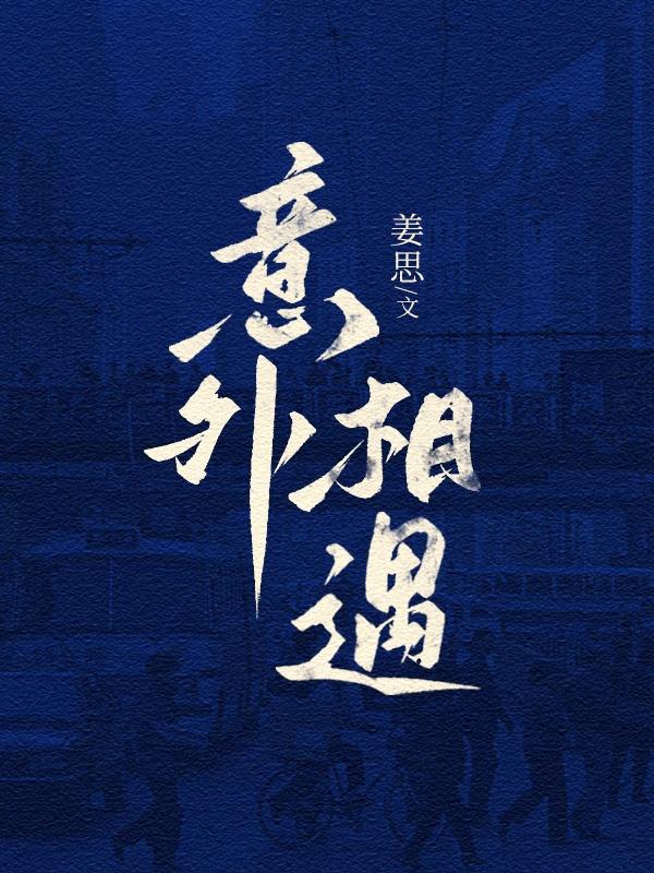 意外相遇封面