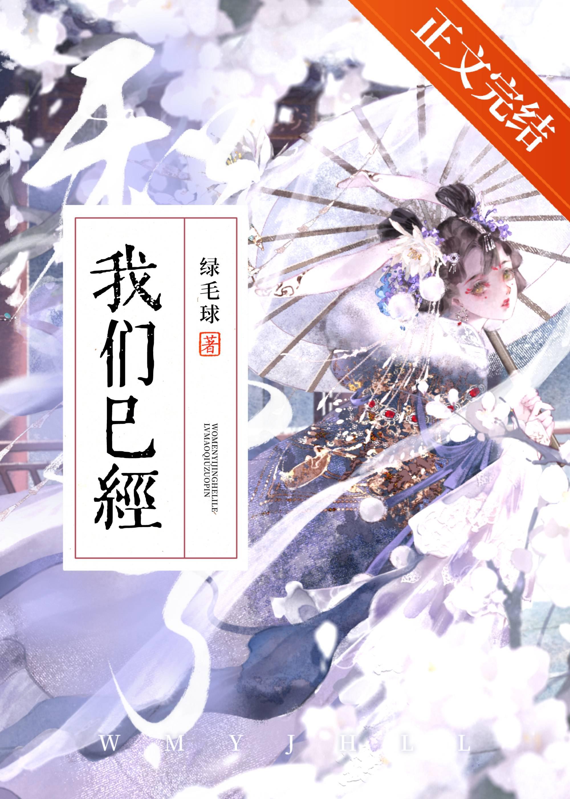 我们已经和离了封面
