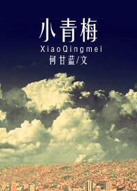 小青梅封面