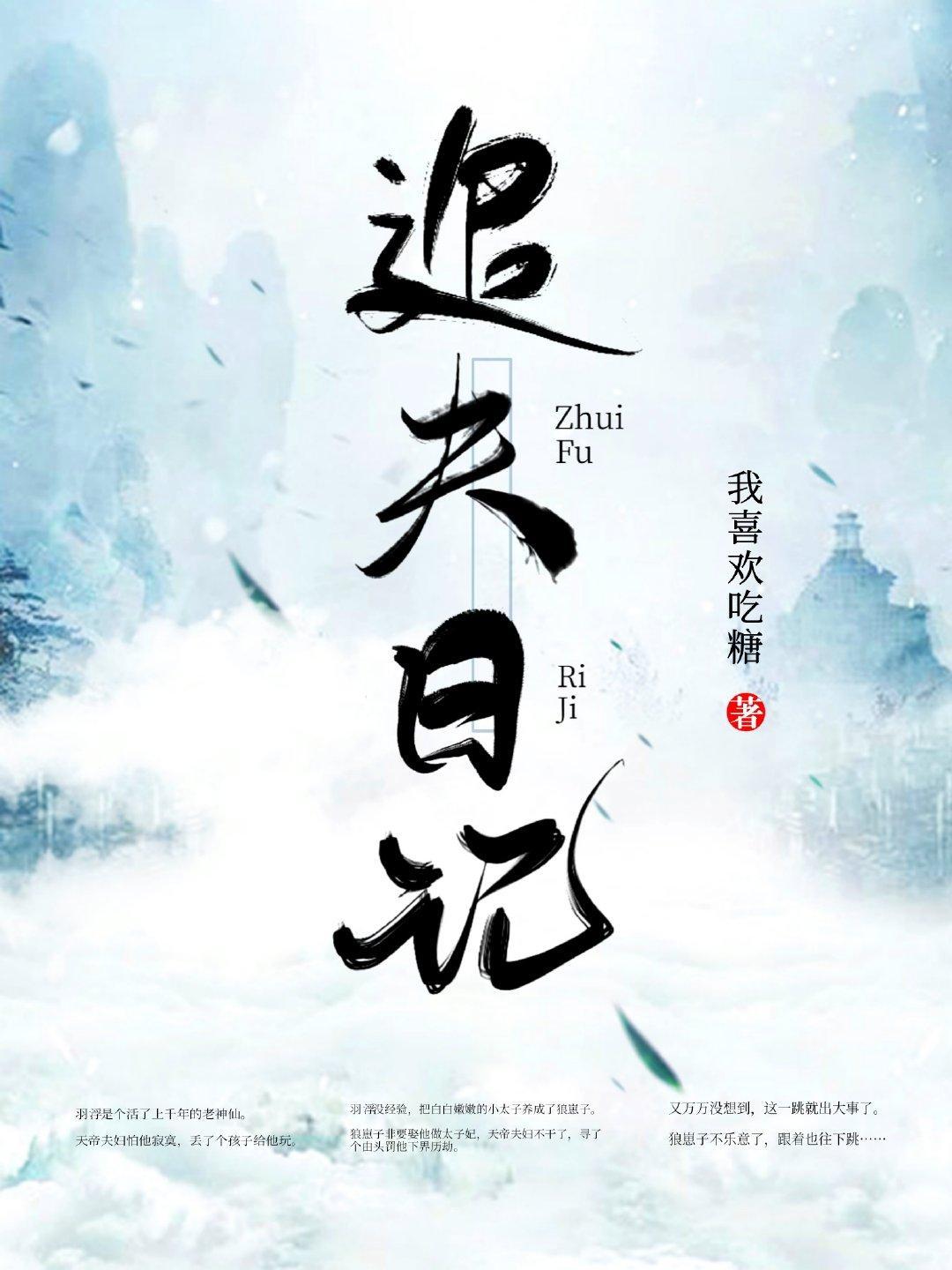 追夫日记封面
