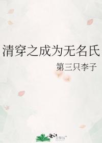 清穿之成为无名氏封面