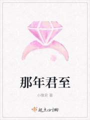 那年君至封面