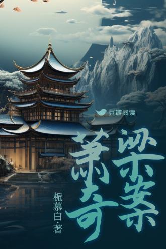 萧梁奇案封面