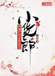 小货郎的现代发家致富史封面