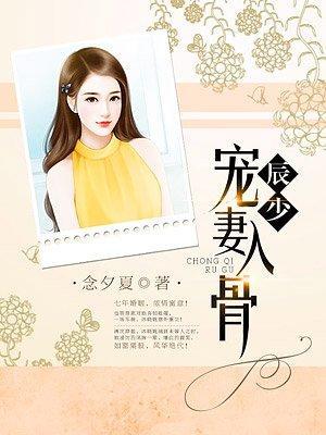 辰少宠妻入骨封面