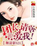 团长，请你爱我！封面