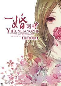 一婚两制封面