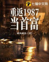 重返1987当首富封面