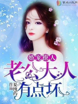 老公大人有点坏封面