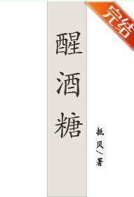 醒酒糖封面