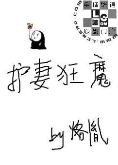 护妻狂魔封面