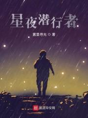 星夜潜行者封面