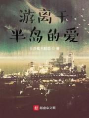 游离于半岛的爱封面