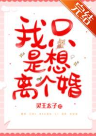 我只是想离个婚封面